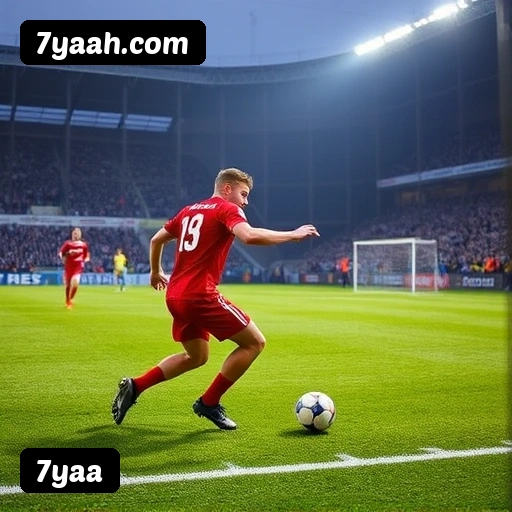 Estatísticas de bônus da 7yaa em São Paulo, Rio de Janeiro e Brasília