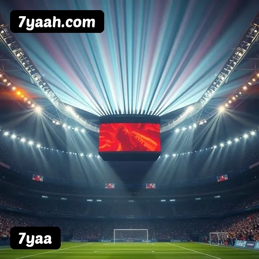 Níveis do programa VIP da 7yaa